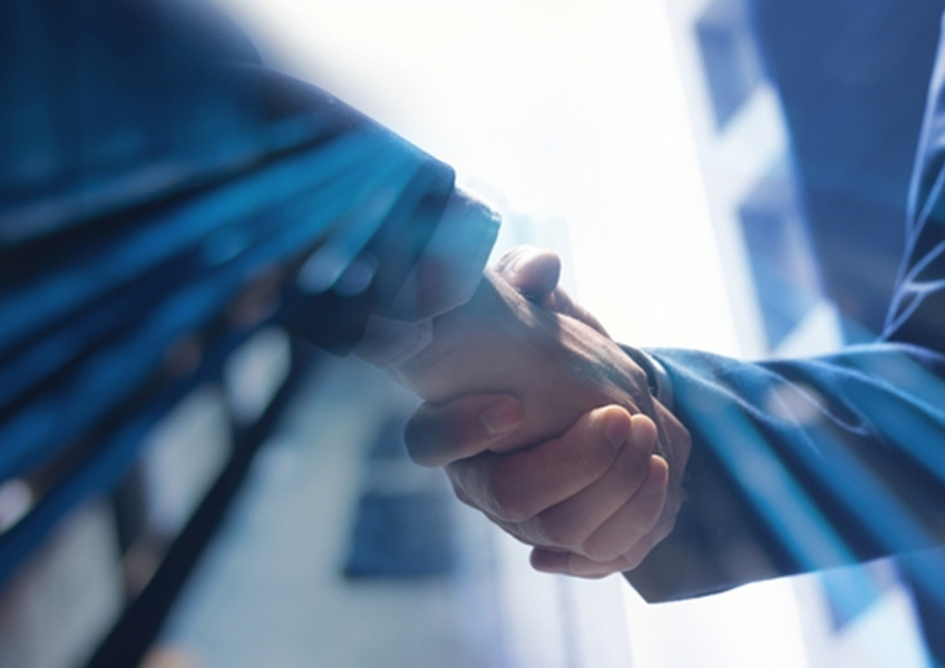 Management and Consulting Services